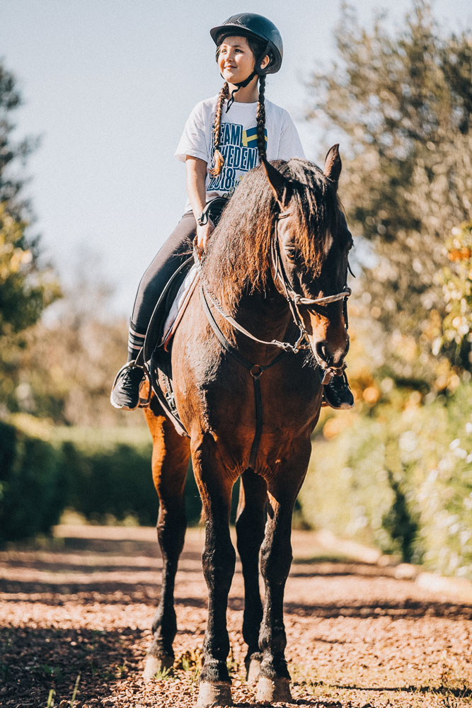 Horse back ridning-Session-sweden